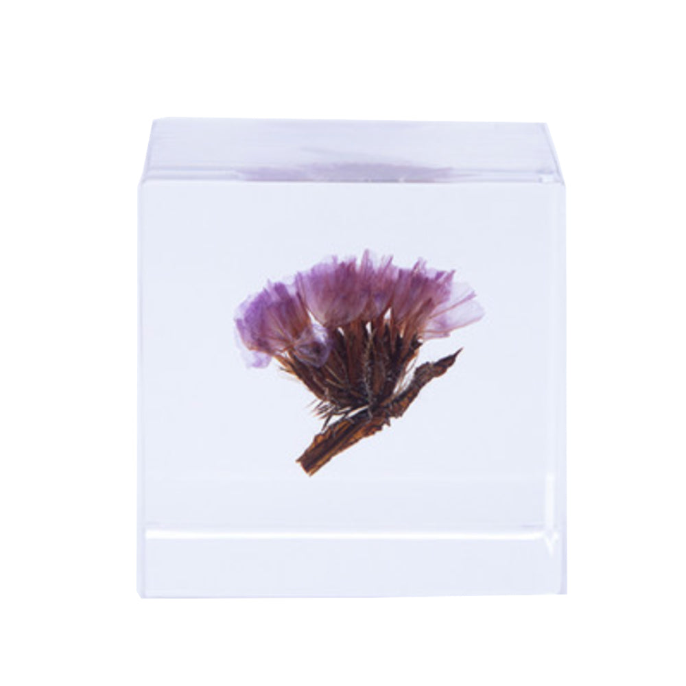 Botanical Acrylic Cube-Japan-Best.net-Statice-Japan-Best.net