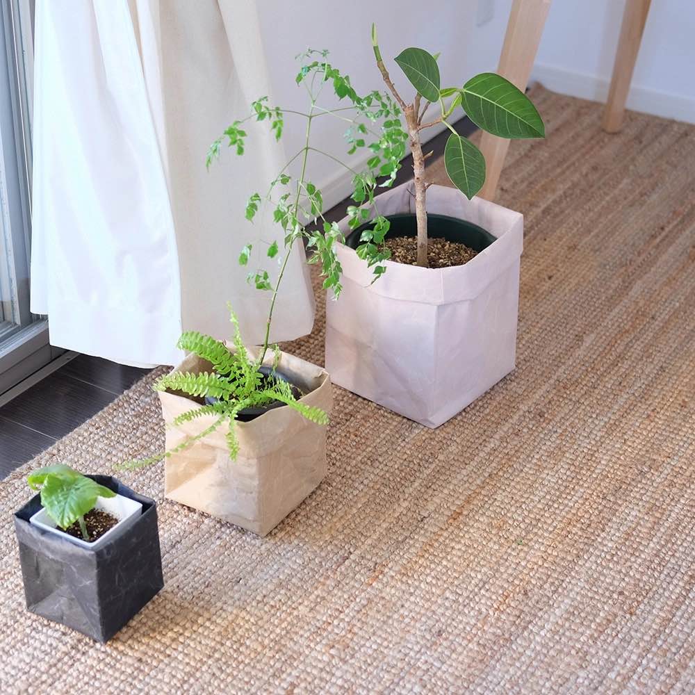 SIWA Storage Box (5 Sizes)-Japan-Best.net-Black-XXS-Japan-Best.net